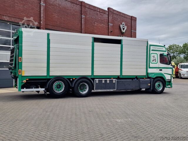Transport af kvæg Volvo FM 410 Globetrotter 6x2*4 - Livestock - Euro 6 ...
