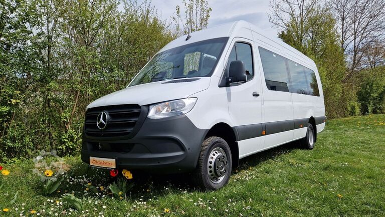 حافلة صغيرة MERCEDES-BENZ 10 Sprinter Lord Light 22 Sitzer Vorlauffahrzeug