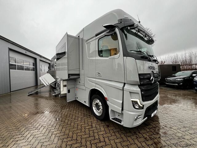 Liellopu pārvadāšanas kravas automašīna MERCEDES-BENZ 2651 STX 5 Pferde DOP. POP-OUT+POP-UP  EXKLUSIVE