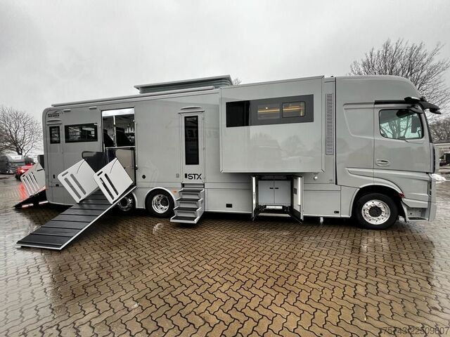 Kariloomade veok MERCEDES-BENZ 2651 STX 5 Pferde DOP. POP-OUT+POP-UP  EXKLUSIVE