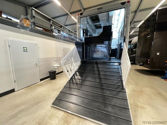 Kariloomade veok MERCEDES-BENZ 2651 STX 5 Pferde DOP. POP-OUT+POP-UP  EXKLUSIVE