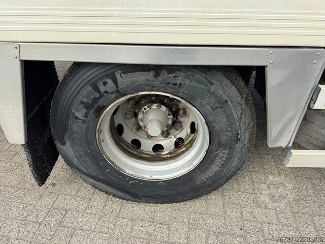 Trasporto refrigerato/congelato Scania P94-260 **MANUAL PUMP-BELGIAN TRUCK-MEATHOOKS**