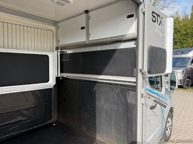 Prijevoznik stoke RENAULT Master STX 3 Sitzer  Haras / Hengste