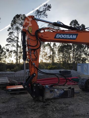 Paletli ekskavatör DOSSAN DX300LC - 7K
