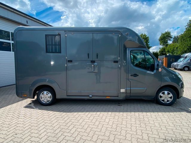 Dyrfrakter RENAULT Master STX 3 Sitzer  Automatik Haras / Hengste