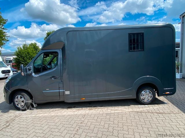 Dyrfrakter RENAULT Master STX 3 Sitzer  Automatik Haras / Hengste