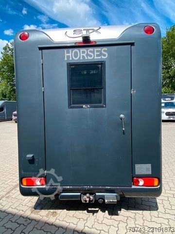 Dyrfrakter RENAULT Master STX 3 Sitzer  Automatik Haras / Hengste