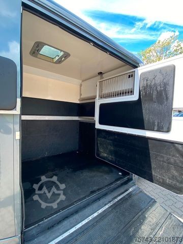 Dyrfrakter RENAULT Master STX 3 Sitzer  Automatik Haras / Hengste
