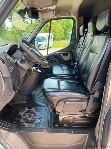 Dyrfrakter RENAULT Master STX 3 Sitzer  Automatik Haras / Hengste