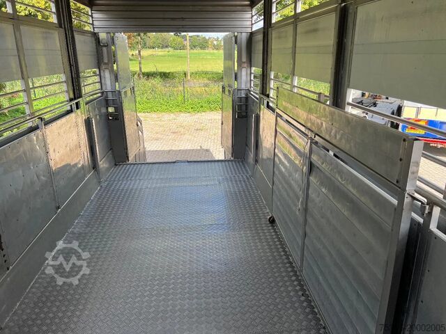 牛群运输 Volvo FH 13.540 Globe XL 6x2/4 IRMA Livestock