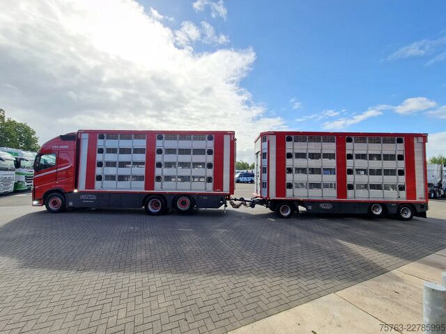 הובלת בעלי חיים Volvo FH 13.500 6x2 - Livestock 4 deck Finkl + Finkl ...