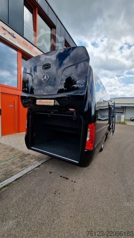 मिनिबस MERCEDES-BENZ 519 Sunset S 4 Ferqui Chasis 907 Vorlauffahrzeug