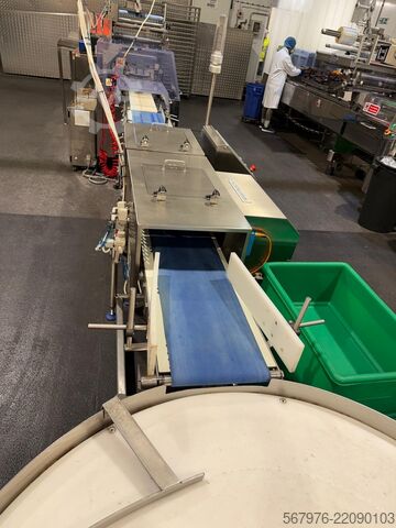 Flow-innpakning Fuji Packaging / Loma Systems Complete Packing Line for Muffins / Cake