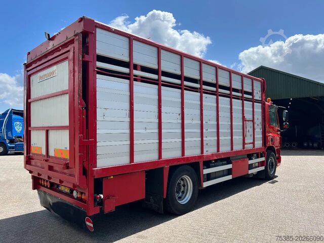 Transporte de ganado DAF CF 75 Livestock veewagen 1/2 stock