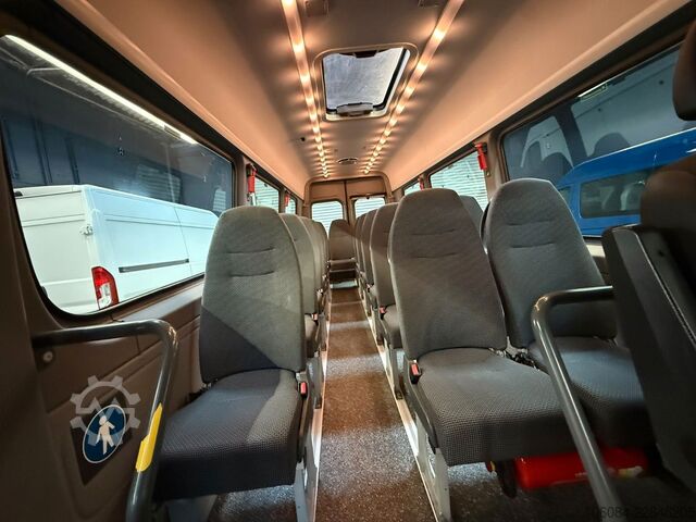 小型客车 MERCEDES-BENZ Sprinter 516 Transfer 45 Evobus Klima STHZ 19+1