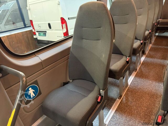 小型客车 MERCEDES-BENZ Sprinter 516 Transfer 45 Evobus Klima STHZ 19+1
