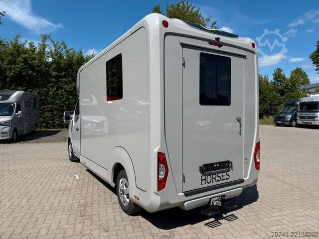 Boskapstransportör RENAULT Master STX 3 Sitzer  Haras / Hengste