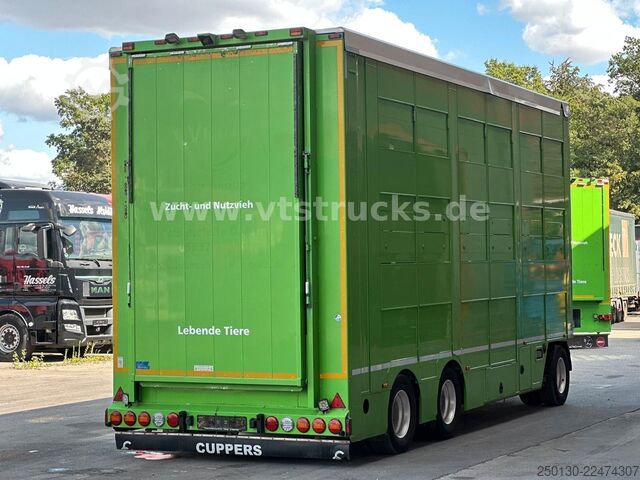 Trailer angkut kuda  Cuppers LVA 09-16 AL 3-Stock Viehanhänger,