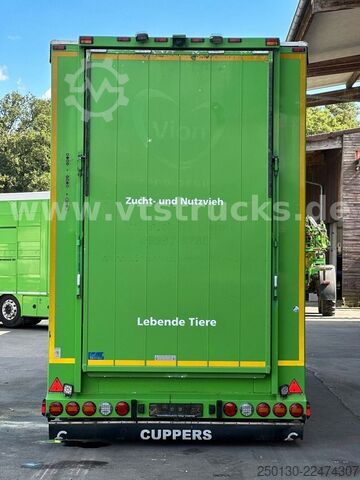 Trailer angkut kuda  Cuppers LVA 09-16 AL 3-Stock Viehanhänger,