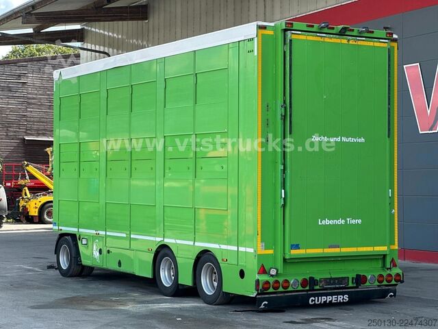 Trailer angkut kuda  Cuppers LVA 09-16 AL 3-Stock Viehanhänger,