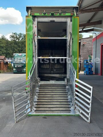 Trailer angkut kuda  Cuppers LVA 09-16 AL 3-Stock Viehanhänger,