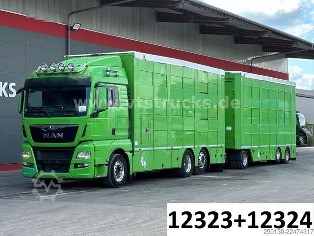 Truk pengangkut ternak MAN TGX 26.440 6x2 3.Stock Cuppers Komplett-Zug
