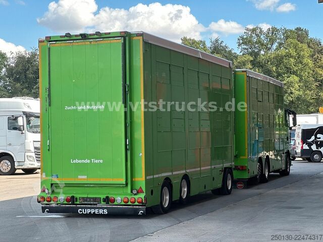 Truk pengangkut ternak MAN TGX 26.440 6x2 3.Stock Cuppers Komplett-Zug