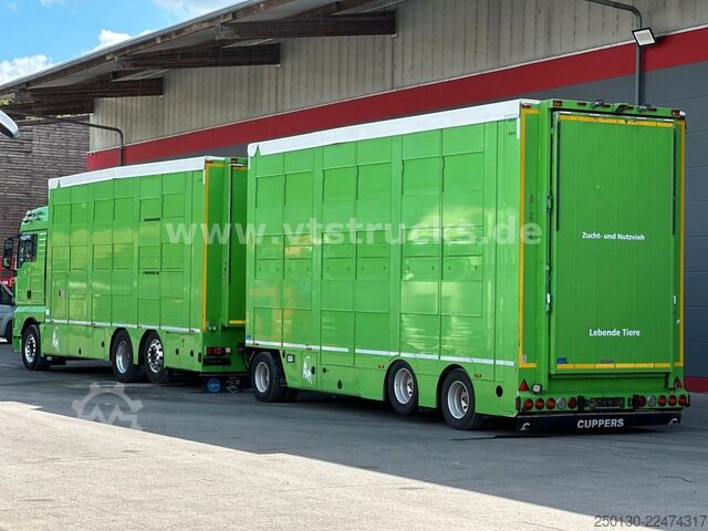 Truk pengangkut ternak MAN TGX 26.440 6x2 3.Stock Cuppers Komplett-Zug