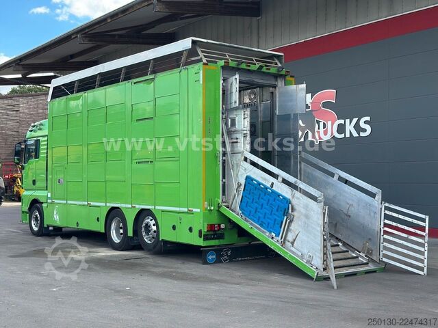 Truk pengangkut ternak MAN TGX 26.440 6x2 3.Stock Cuppers Komplett-Zug