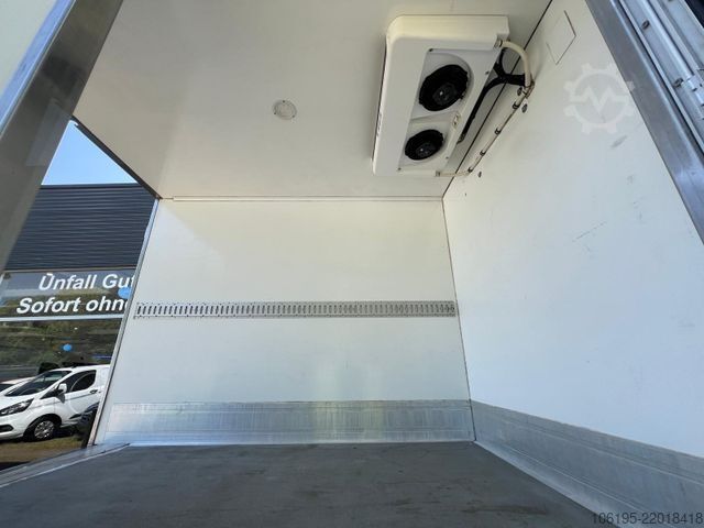 Soğutucu kasa panelvan FORD Transit Kühlkoffer ThermoKing -29C.