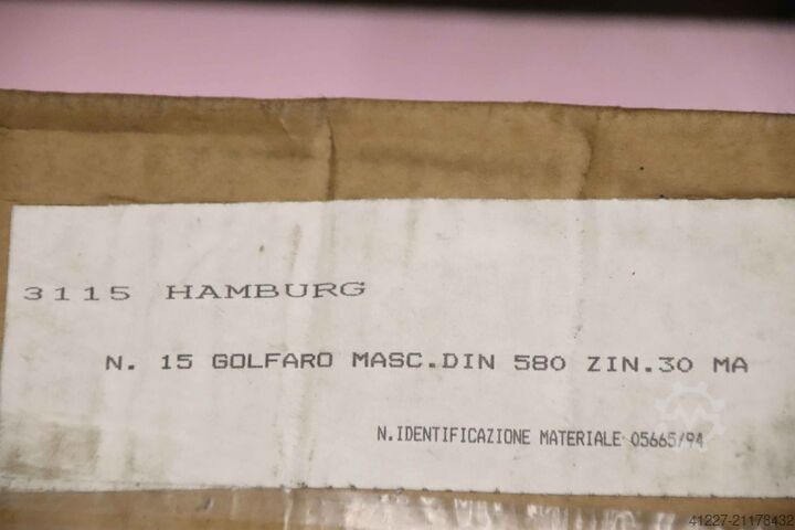 रिंग स्क्रू M30 Golfaro DIN 580 C 15