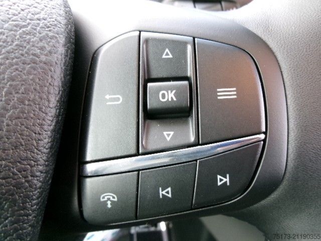Fourgon surélevé FORD Transit 350 L3H3 4x4 Kasten Stndzh AHK Xenon