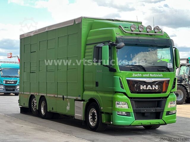 Truk pengangkut ternak MAN TGX 26.440 6x2 3.Stock Cuppers, Lenk-/Lift