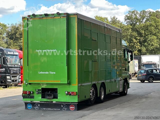 Truk pengangkut ternak MAN TGX 26.440 6x2 3.Stock Cuppers, Lenk-/Lift