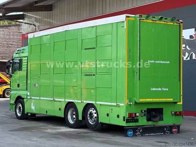 Truk pengangkut ternak MAN TGX 26.440 6x2 3.Stock Cuppers, Lenk-/Lift