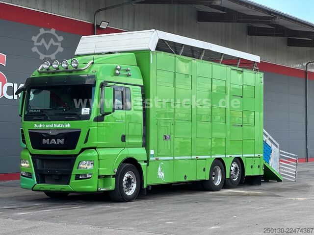 Truk pengangkut ternak MAN TGX 26.440 6x2 3.Stock Cuppers, Lenk-/Lift