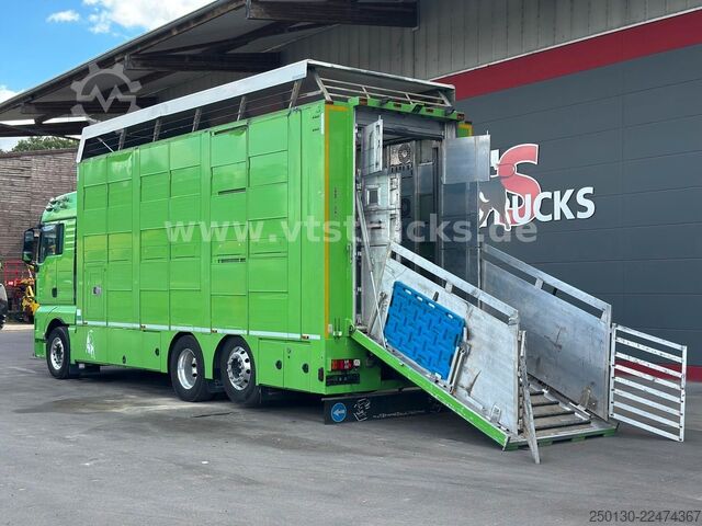 Truk pengangkut ternak MAN TGX 26.440 6x2 3.Stock Cuppers, Lenk-/Lift