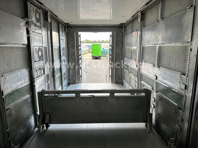 Truk pengangkut ternak MAN TGX 26.440 6x2 3.Stock Cuppers, Lenk-/Lift