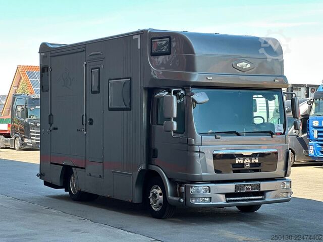 Transportor de animale MAN TGL 8.180 4x2 BL EEV ANEMONE für 3  Sportpferde