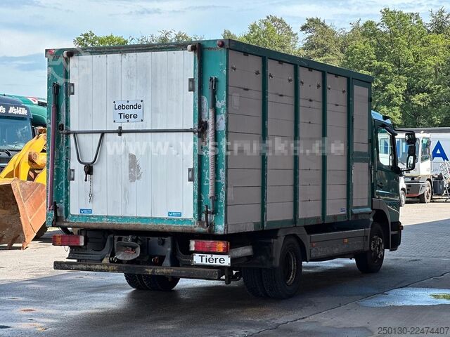 Transportor de animale MERCEDES-BENZ Atego 823 4x2 1.Stock Viehwagen