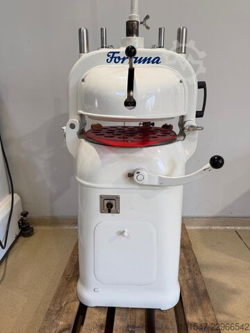  Fortuna 4