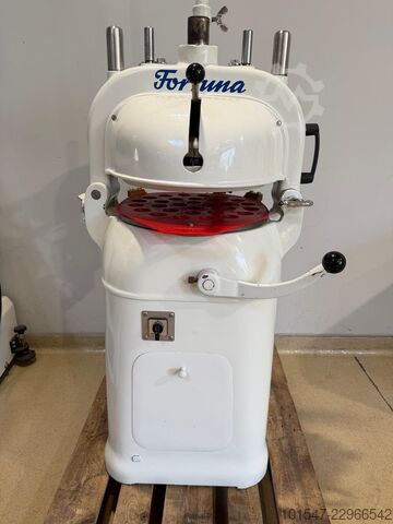  Fortuna 4