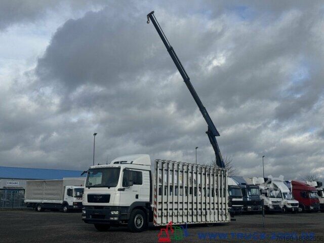 LKW mit Pritsche (offen) MAN TGM 18.290 Glastransporter Glasreff PK12001EH FB