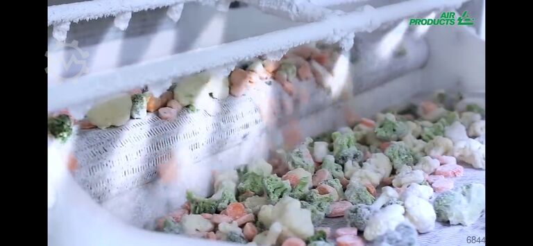 IQF Froster Stickstofftunnel- Freshline Air Products IQF Freezer Stikstofvriezer – Freshline