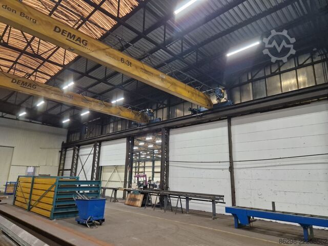 Puente grúa monorraíl Demag ± 17.000mm x 6.3t