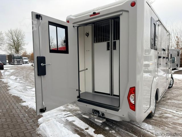 Viehtransporter RENAULT Master STX 5 Sitzer Haras ex. Lang Automatik