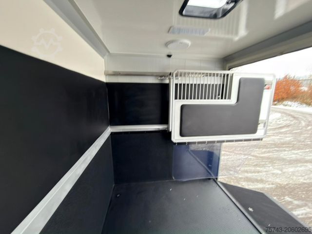 Viehtransporter RENAULT Master STX 5 Sitzer Haras ex. Lang Automatik