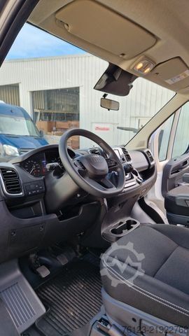 Микробус FIAT Fiat Ducato 9 Sitzer Systemboden Rolli Stock