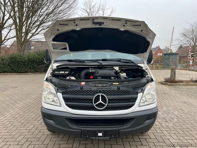 Minibús MERCEDES-BENZ Sprinter 313 Cdi Maxi L3 9Sitze + Lift Ahk Klima
