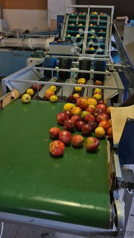 Macchina per sacchetti da trasporto Taglierina per Äp STRAPACK mit Netzklipper Äpfel und Kar Type EW 20